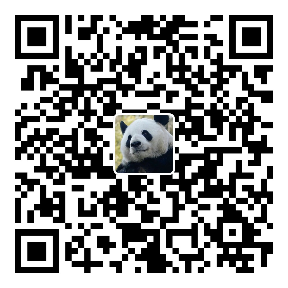 Alipay QR